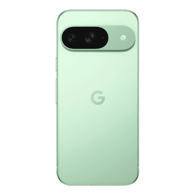 Смартфон Google Pixel 9 12/256GB (Wintergreen)
