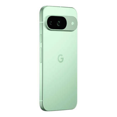 Смартфон Google Pixel 9 12/256GB (Wintergreen)