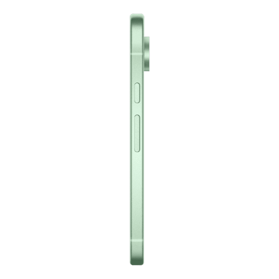 Смартфон Google Pixel 9 12/256GB (Wintergreen)