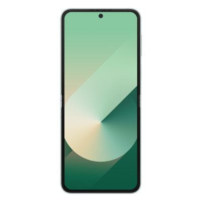 Смартфон Samsung Galaxy Flip 6 512GB (Mint) (SM-F741BLGHSEK)