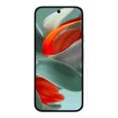 Pixel 9 Pro