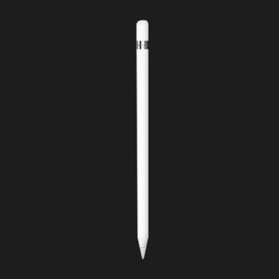 Стілус Apple Pencil (USB-C) + Apple Pencil Adapter (MQLY3)