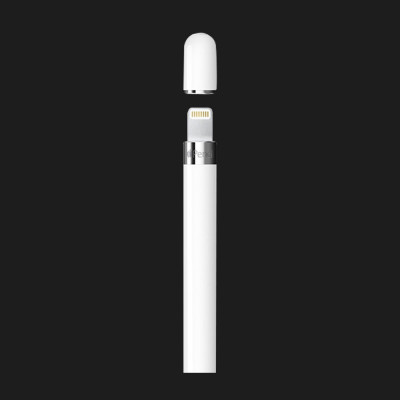 Стілус Apple Pencil (USB-C) + Apple Pencil Adapter (MQLY3)