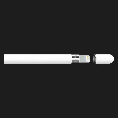Стілус Apple Pencil (USB-C) + Apple Pencil Adapter (MQLY3)