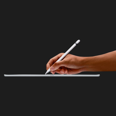 Стілус Apple Pencil (USB-C) + Apple Pencil Adapter (MQLY3)
