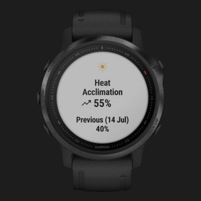 Смарт-годинник Garmin Fenix 6S (Black/Black Band) (010-02159-14)
