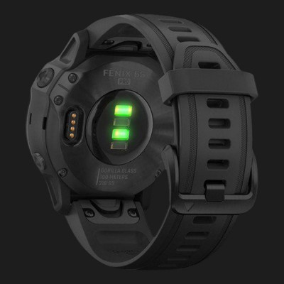 Смарт-годинник Garmin Fenix 6S (Black/Black Band) (010-02159-14)