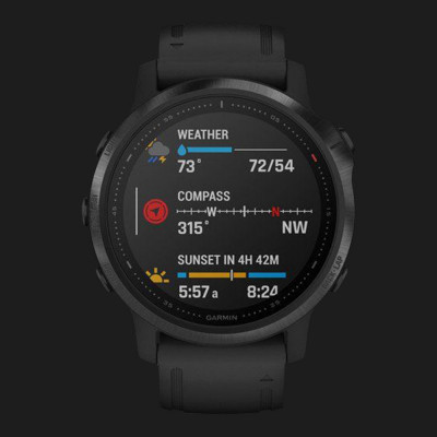 Смарт-годинник Garmin Fenix 6S (Black/Black Band) (010-02159-14)