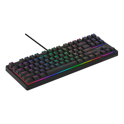 Клавіатура Hator Rockfall 2 Mecha TKL (Orange/Black) (HTK-520)