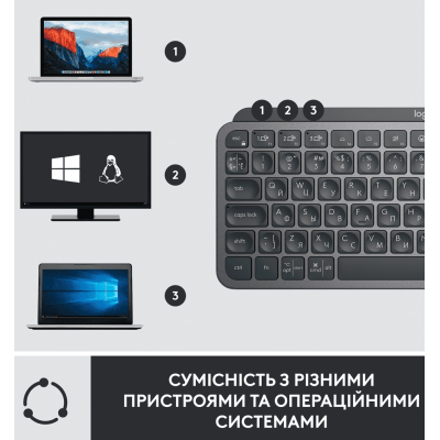 Комплект Logitech MX Keys Mini Combo for Business (Graphite) (920-011061)